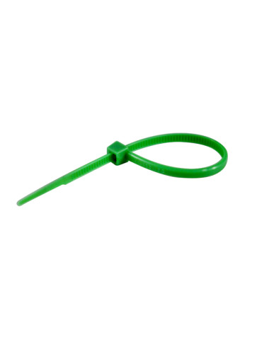 BRIDA NYLON VERDE B/100