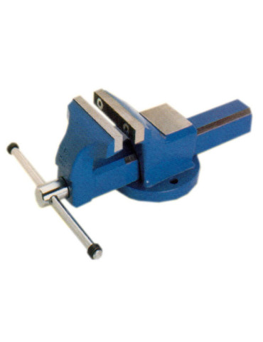 TORNILLO BANCO FCP 100 FJ