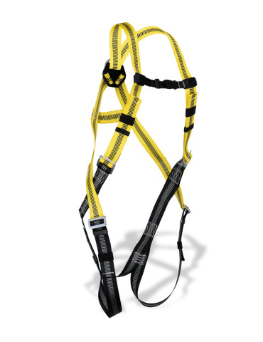 ARNES DORSAL ARISAFE