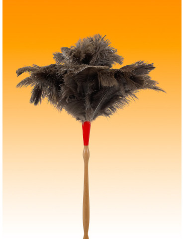 PLUMERO AVESTRUZ LARGO PLUMA 25-26 M/TORNEADO