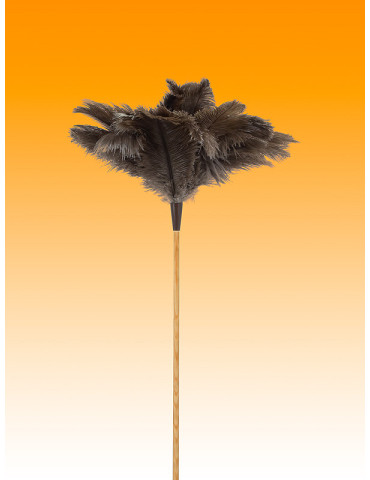 PLUMERO AVESTRUZ LARGO PLUMA 23-24 M/VARILLA