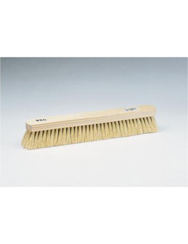 ESCOBON BARRENDERO TAMPICO