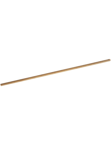 PALO ESCOBON BARRENDERO