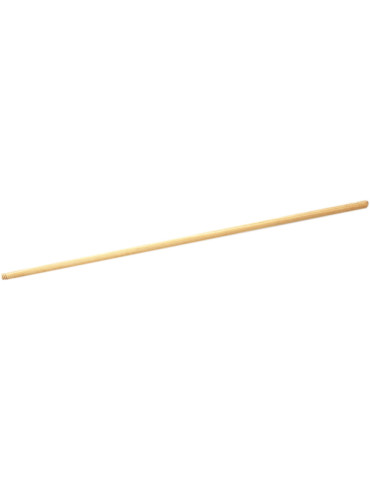 PALO ESCOBON BARRENDERO TAMPIC