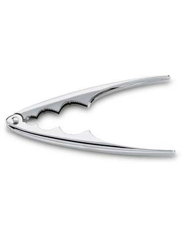 CASCANUECES MARISQUERO MUELLE