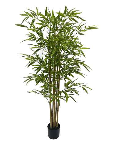 ARBOL BAMBU TRONCO NATURAL