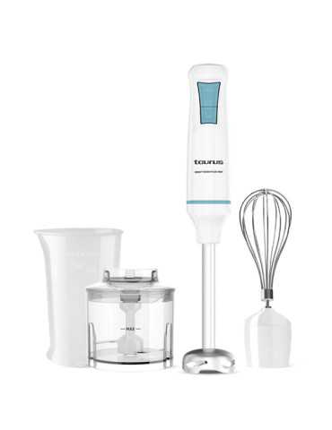 BATIDORA VARILLA ROBOT 1000 PLUS INOX