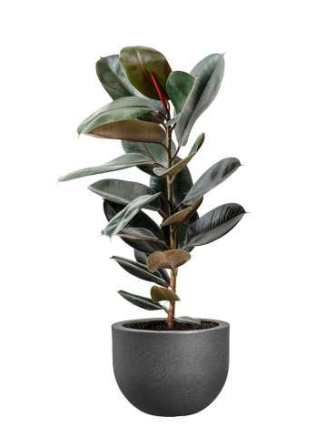 MACETA EXT. GRACE ROUND PIEDRA ANTRACITA