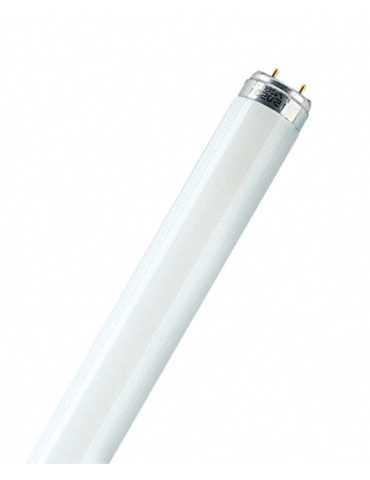 TUBO FLUORESCE LUMILUX PLUS T8 LF