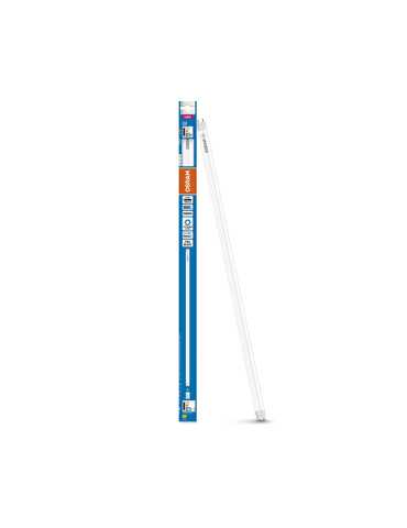 TUBO LED SUBSTITUB 865 T8 60 CM G13 LF 6500K 800LM